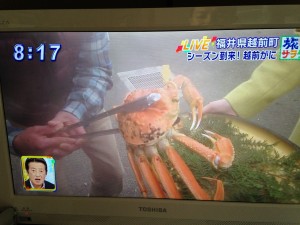 Evernote Camera Roll 20131109 102815